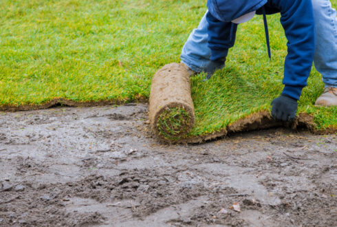 Landscaping