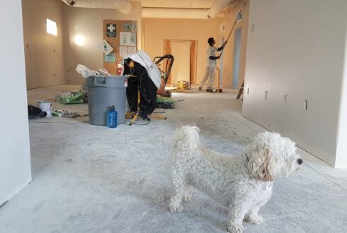 Plastering